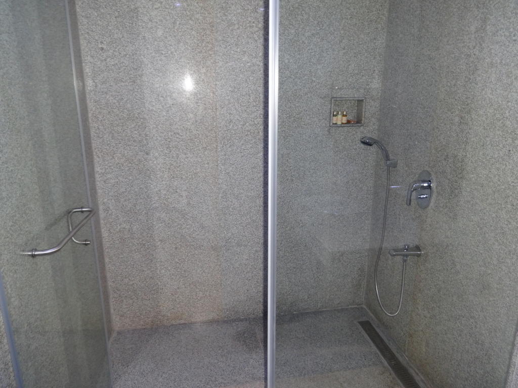 Hotel Patliputra Exotica Patna  Rum bild